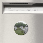 Memorial van de Koreaanse oorlogsveteraan Magneet (Insitu (Vaatwasser))