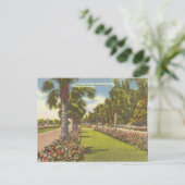 Memorial Victory Drive Palms Savannah GA retro Briefkaart (Staand voorkant)
