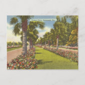 Memorial Victory Drive Palms Savannah GA retro Briefkaart (Voorkant)