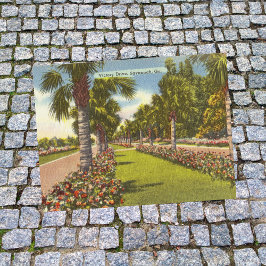 Memorial Victory Drive Palms Savannah GA retro Briefkaart