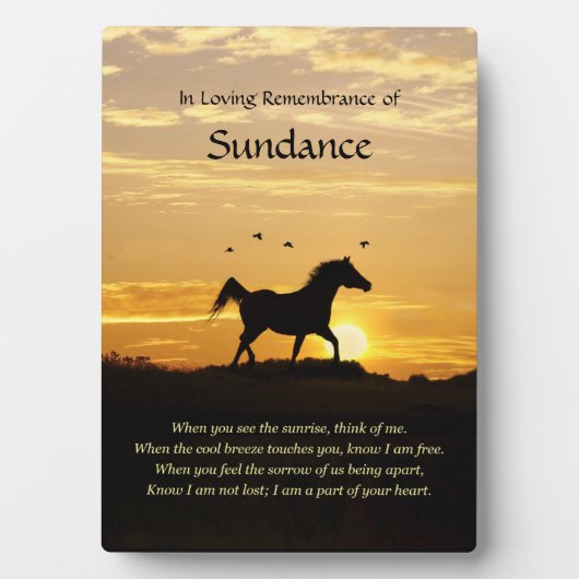 Memorial voor aangepaste paardennaam fotoplaat (voorkant)