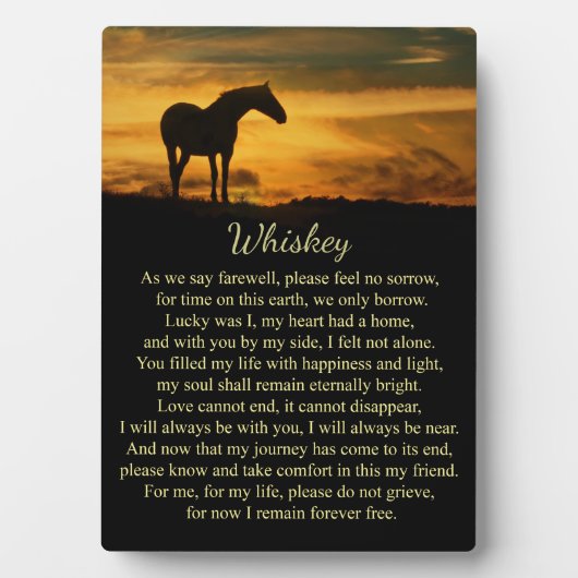 Memorial voor Paarden Spirituele aangepaste naam Fotoplaat (voorkant)