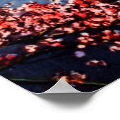 Memorial Washington DC Poster (Hoek)