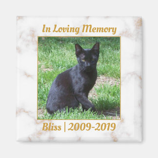 Memorial White en Gold Marble Magneet