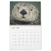 Memories of Mr.Enchilada Calendar Kalender (Mar 2026)