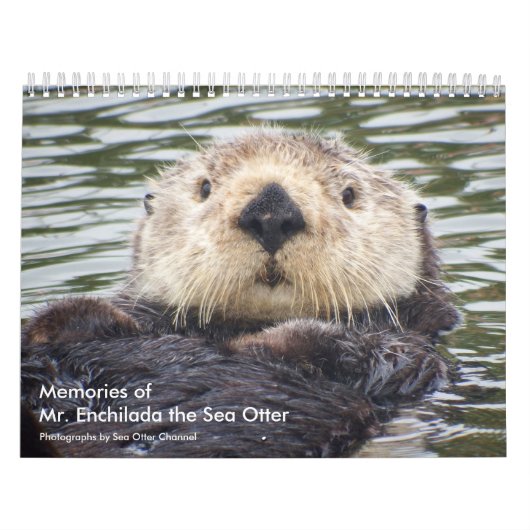 Memories of Mr.Enchilada Calendar Kalender (Hoes)