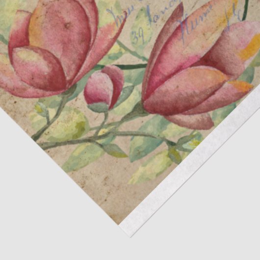 Memories of Red Magnolia Tissuepapier (Detail)