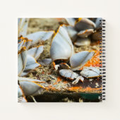 Memories of the shores of Thailand Notitieboek (Achterkant)