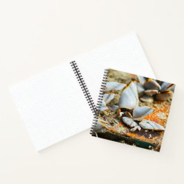 Memories of the shores of Thailand Notitieboek