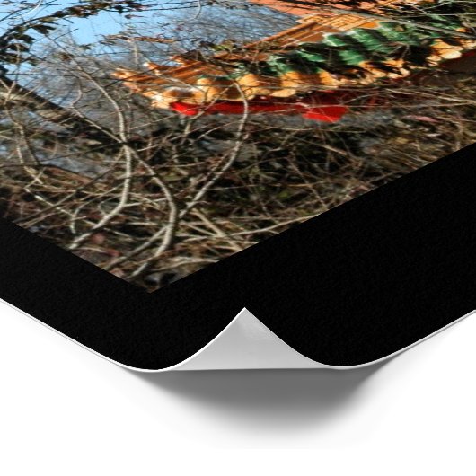 Memphis Zoo Pandas Poster (Hoek)