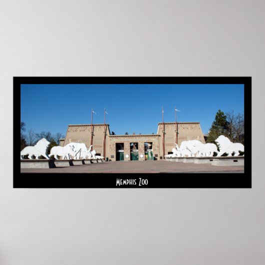 Memphis Zoo Poster (Voorkant)