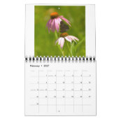 Menagerie Kalender (Feb 2027)