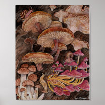Menagerie van paddenstoelen