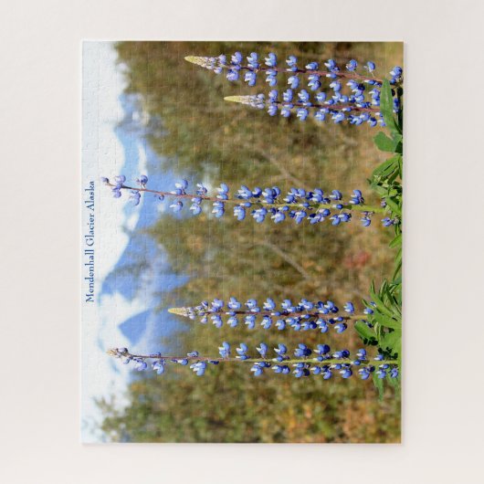 Mendenhall Glacier Alaska Legpuzzel (Verticaal)