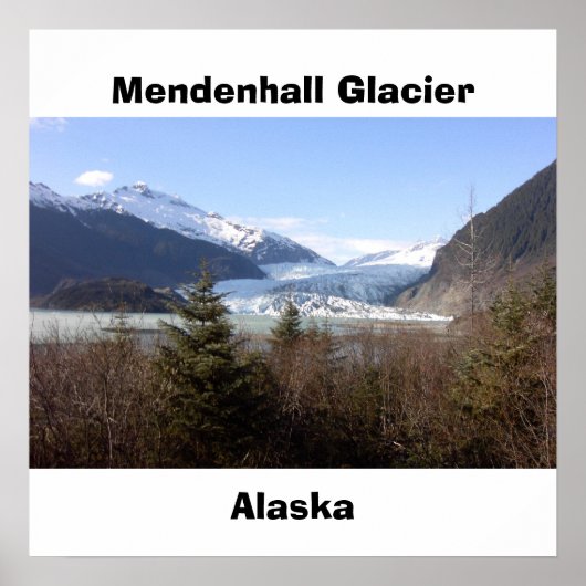 Mendenhall Glacier, Alaska Poster (Voorkant)