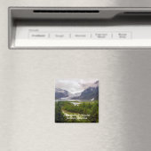 Mendenhall Glacier Juneau Alaska Magnet (Insitu (Vaatwasser))