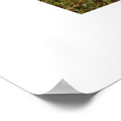 Mendenhall Glacier Poster (Hoek)