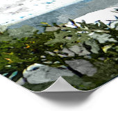 Mendenhall Glacier Poster (Hoek)