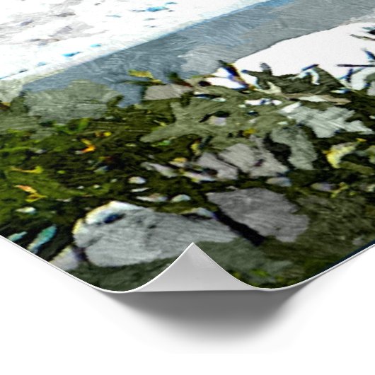 Mendenhall Glacier Poster (Hoek)