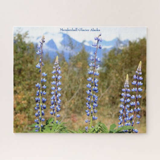 Mendenhall-gletsjer Alaska Legpuzzel (Horizontaal)
