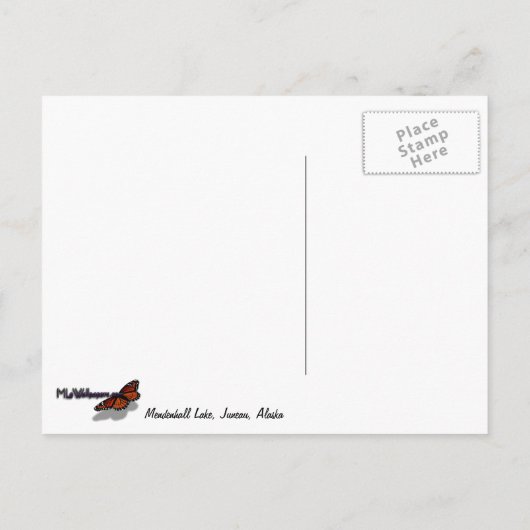 Mendenhall Lake in het landschap van Juneau Alaska Briefkaart (Achterkant)