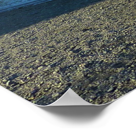 Mendenhall Lake in het landschap van Juneau Alaska Poster (Hoek)