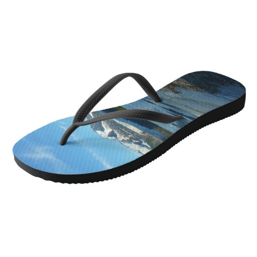 Mendenhall Lake in het landschap van Juneau Alaska Teenslippers (Schuin)