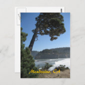 Mendocino, Californië Briefkaart (Voorkant / Achterkant)