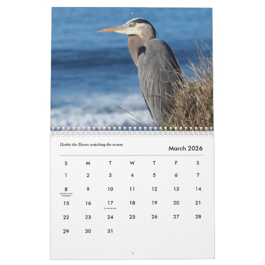 Mendocino Coast CALENDAR 2022  Kalender (Mar 2026)
