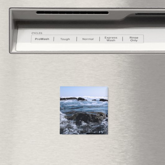 Mendocino Coast Magneet (Insitu (Vaatwasser))