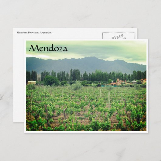 mendoza en wijngaard briefkaart (Voorkant / Achterkant)
