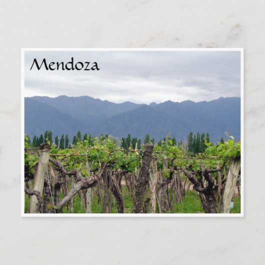 mendoza en wijnstokken briefkaart (Voorkant)