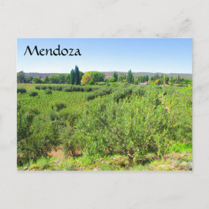 mendoza groen briefkaart