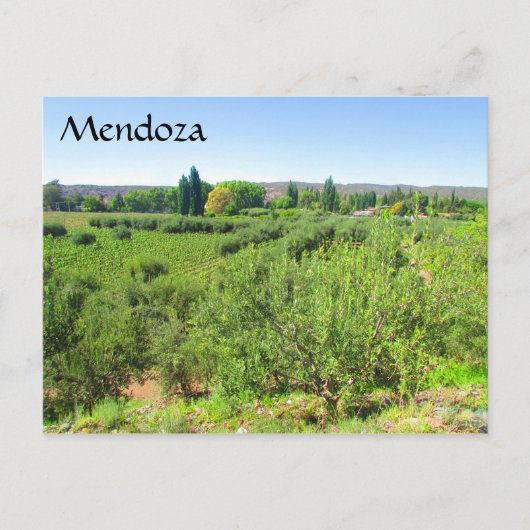 mendoza groen briefkaart (Voorkant)