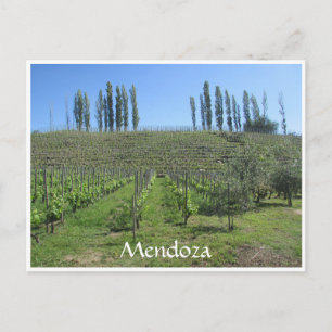 mendoza hill briefkaart