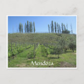 mendoza hill briefkaart (Voorkant)