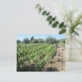 mendoza vineyard briefkaart (Staand voorkant)