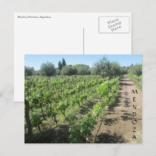 mendoza vineyard briefkaart (Voorkant / Achterkant)