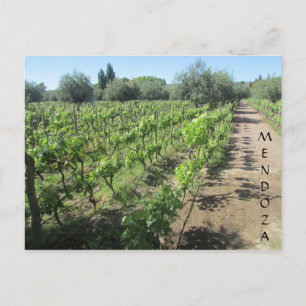 mendoza vineyard briefkaart