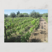 mendoza vineyard briefkaart (Voorkant)
