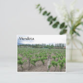mendoza winery briefkaart (Staand voorkant)