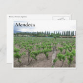 mendoza winery briefkaart (Voorkant / Achterkant)