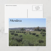mendoza winery green briefkaart (Voorkant / Achterkant)