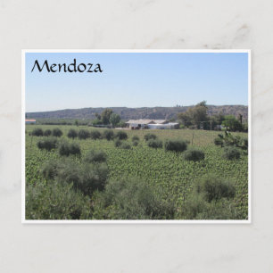 mendoza winery green briefkaart
