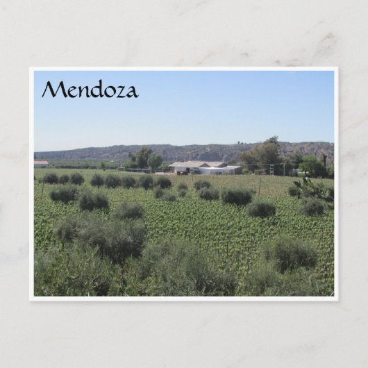 mendoza winery green briefkaart (Voorkant)