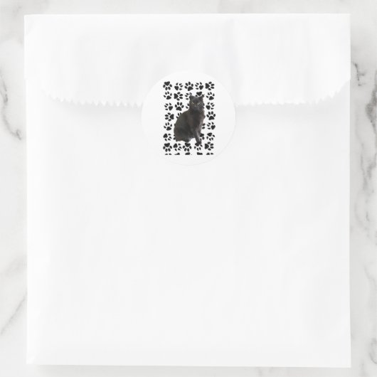 Meneer 4 Sticker (Tas)