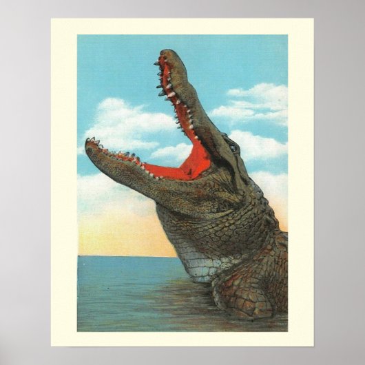 Meneer Alligator Poster (Voorkant)