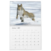 Meneer Bickles De Eekhoorn - middelgrote kalender (Jan 2027)