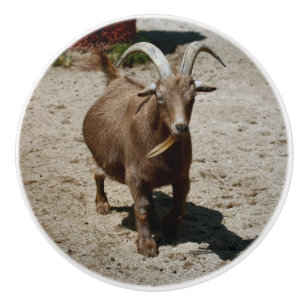 Meneer Bill Keramische Knop