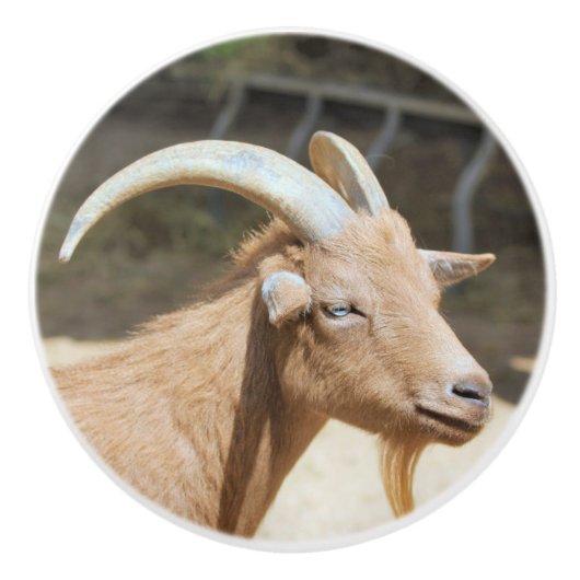 Meneer Bill Keramische Knop (Voorkant)